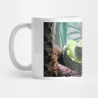 Green Tree Python Mug